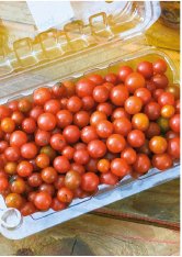 Tomate Perla