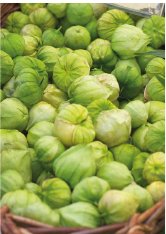Tomatillo Mexicano