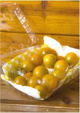Tomate Sol
